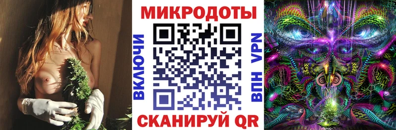 где можно купить   Купино  Галлюциногенные грибы Psilocybe 